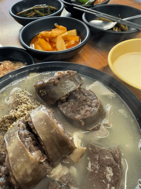 오늘 점심