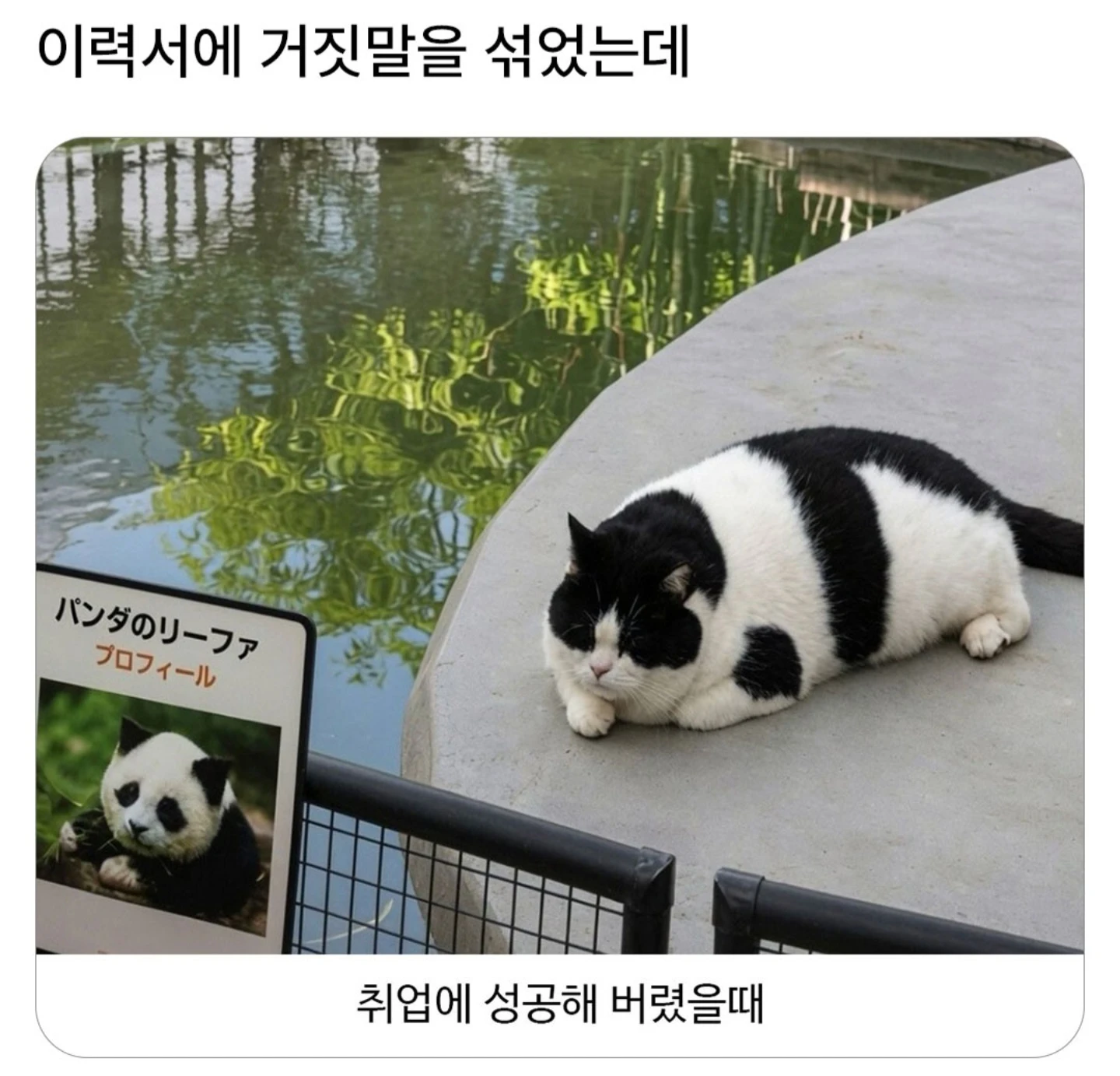 이력서에 거짓말을 섞었는데