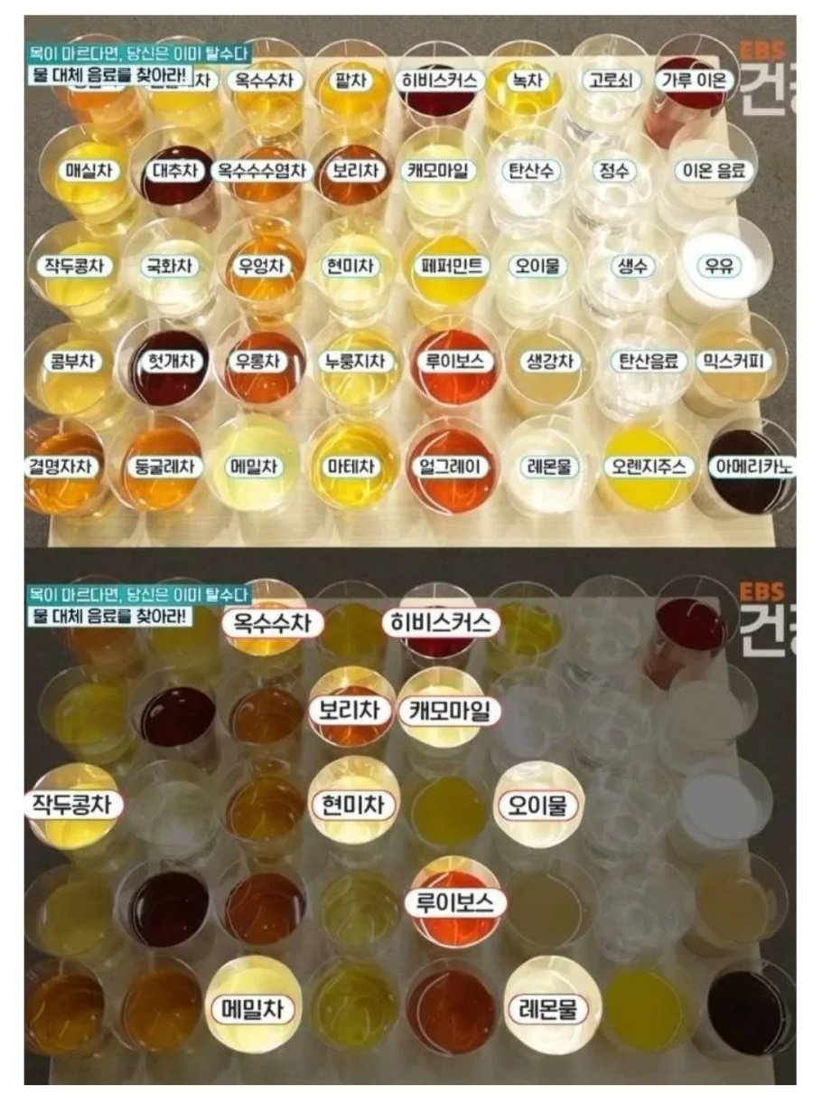 물 대신 마실수 있는 음료