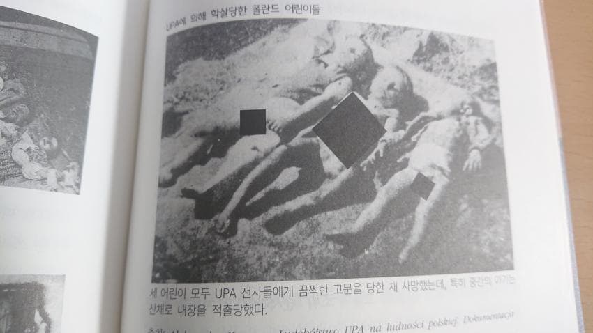 우크라이나가 신규 창설군단인 UPA의 전쟁범죄 이력과 폴란드와의 갈등