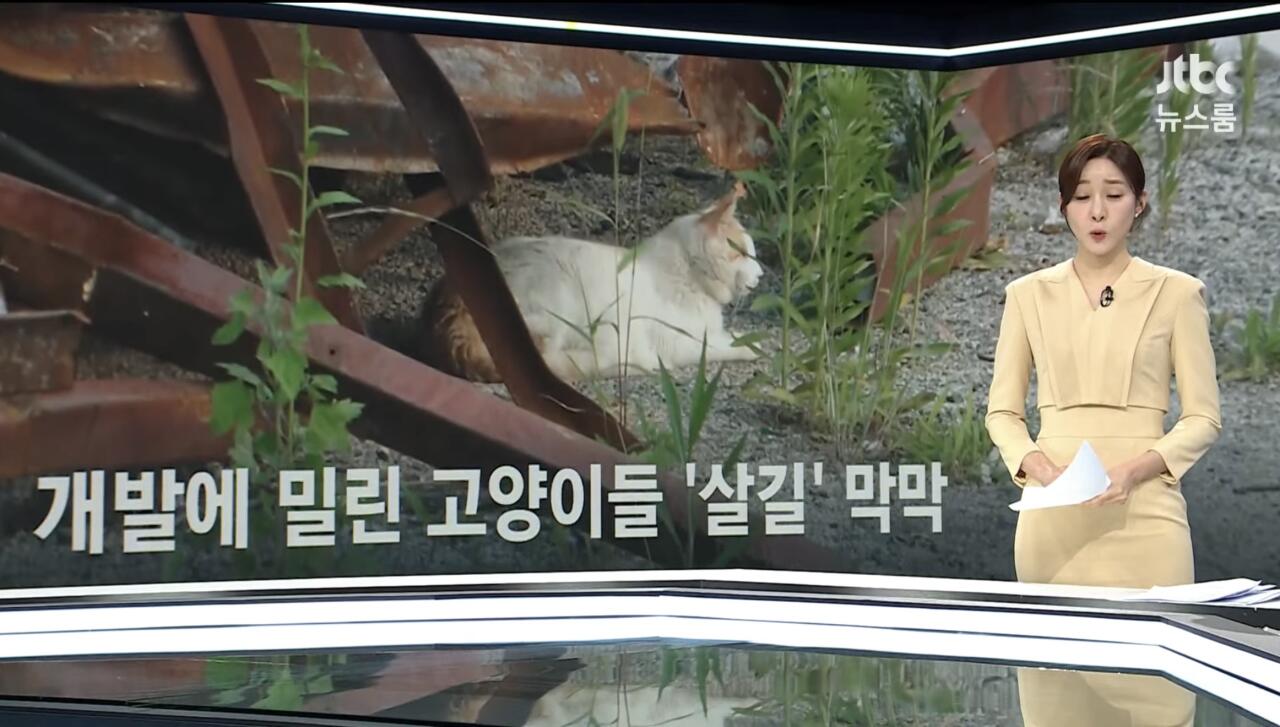 방금자 JTBC 근황 ㅋㅋㅋㅋㅋㅋㅋㅋㅋㅋ