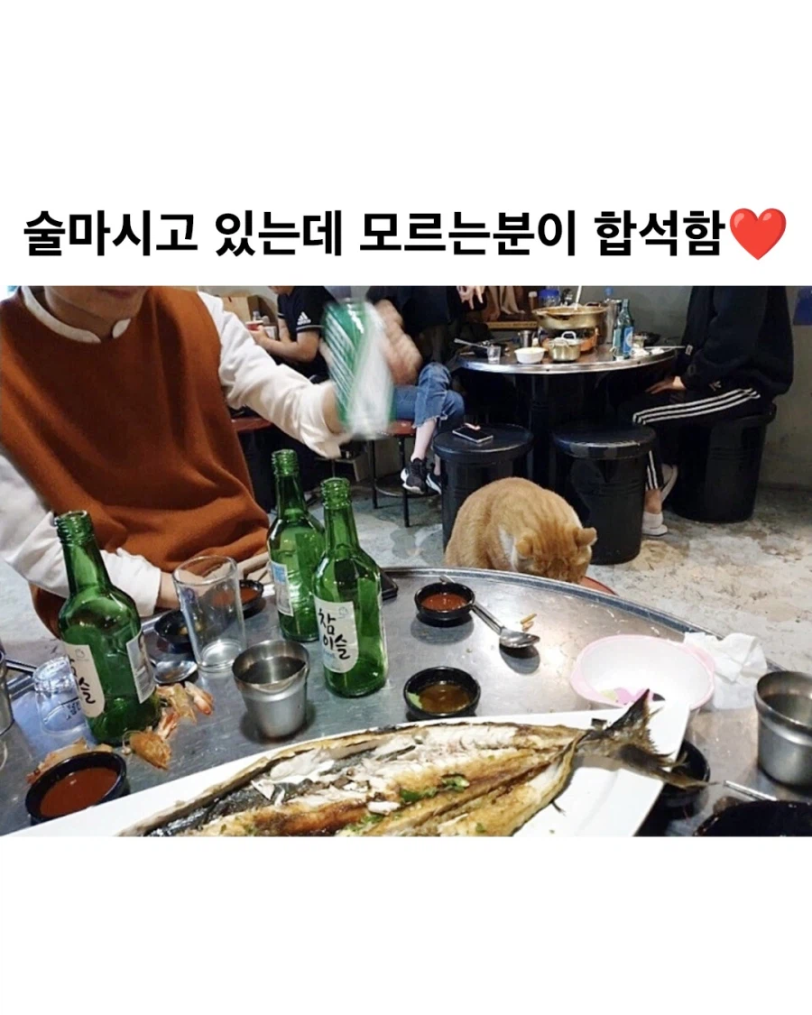 술 마시고 있는데 갑자기 모르는 분이 합석함