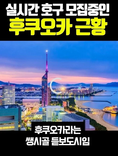 일본 관련 쇼츠 유튜버 1초 보고 바로 차단함