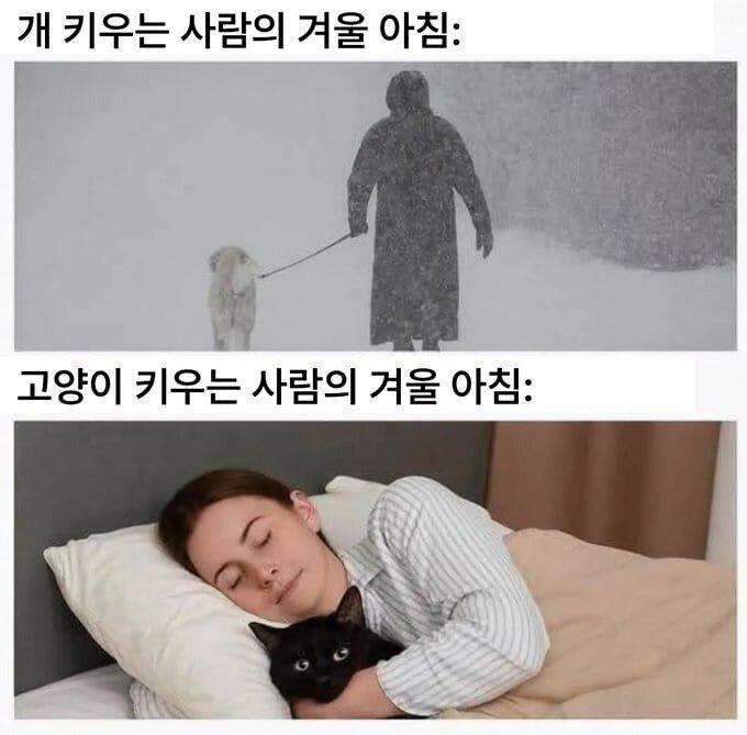 집사와 견주의 겨울 아침 모습