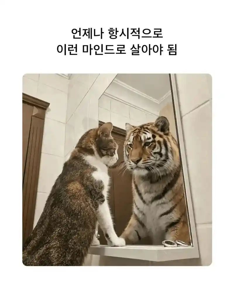 살면서 가져야 할 마음가짐 jpg