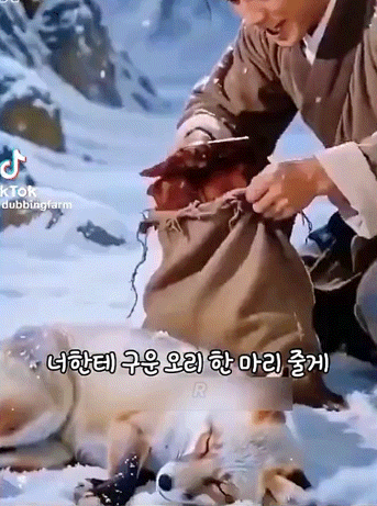 혹시 ! 설산에서 여우한마리 구해준적 있나요 ?
