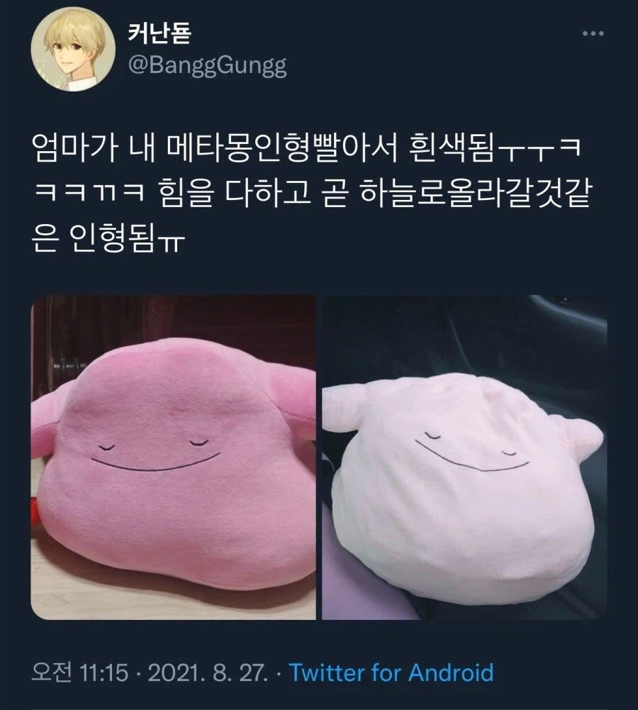 6v 개체 교배작 돌리다가 복상사한 메타몽