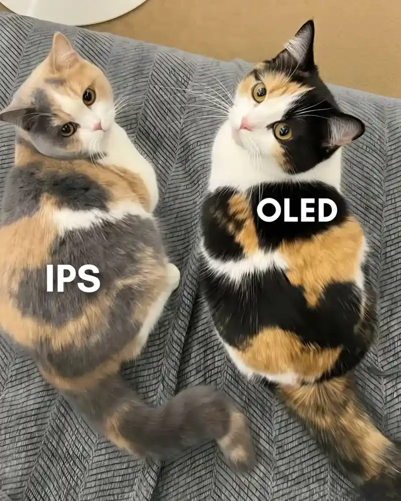 IPS 와 OLED 모니터의 차이점