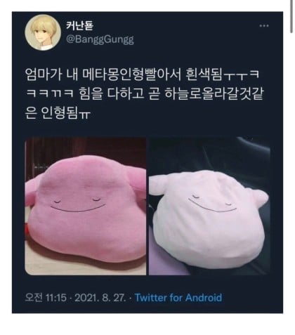 하얗게 불태운 메타몽