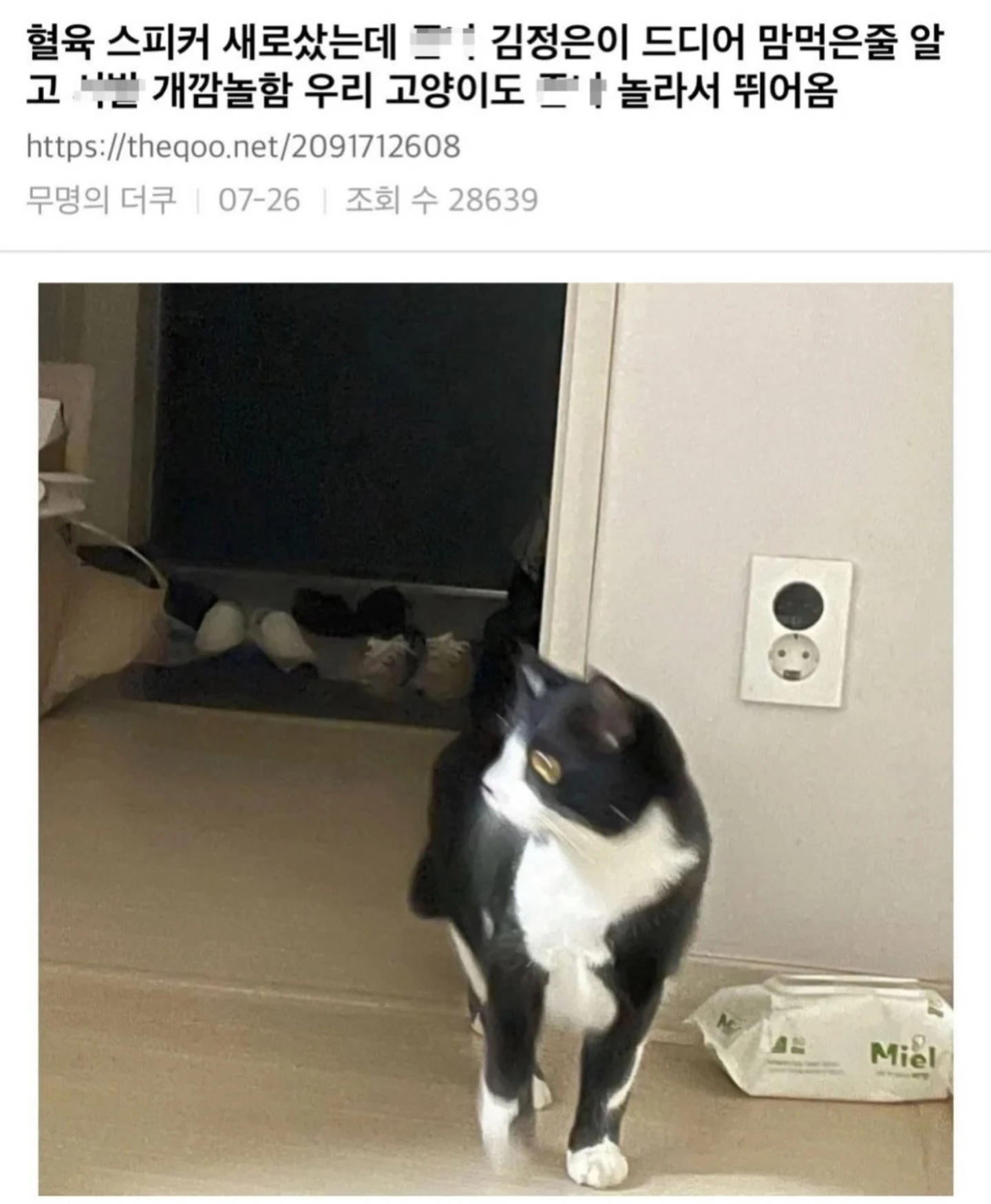 스피커바꿨는데 고양이도 놀래서 뛰쳐나옴;;