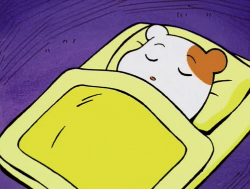 축구로 내상입은 사람들 현재 상황