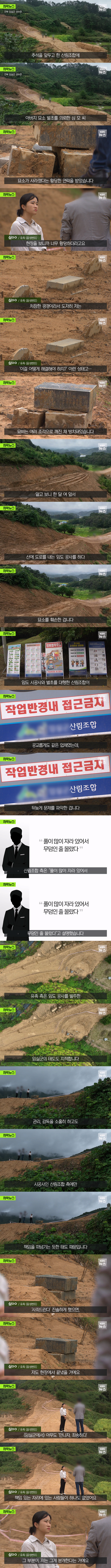 아버지 묘소가 사라졌다고 연락받은 사람