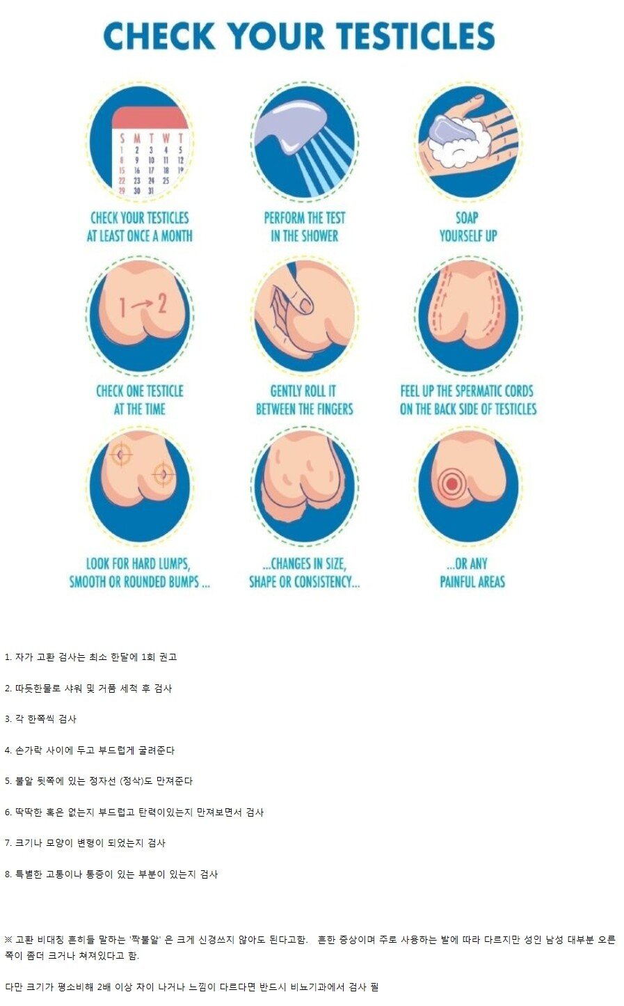 매달1일은 펨붕이들의 고환 검사일 입니다