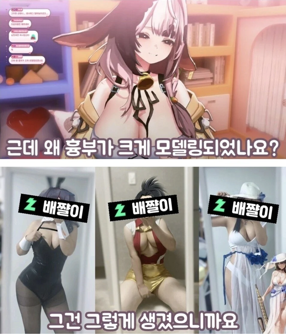 ㅇㅎ?) 가슴 모델링 크게 한 이유를 밝힌 버튜버