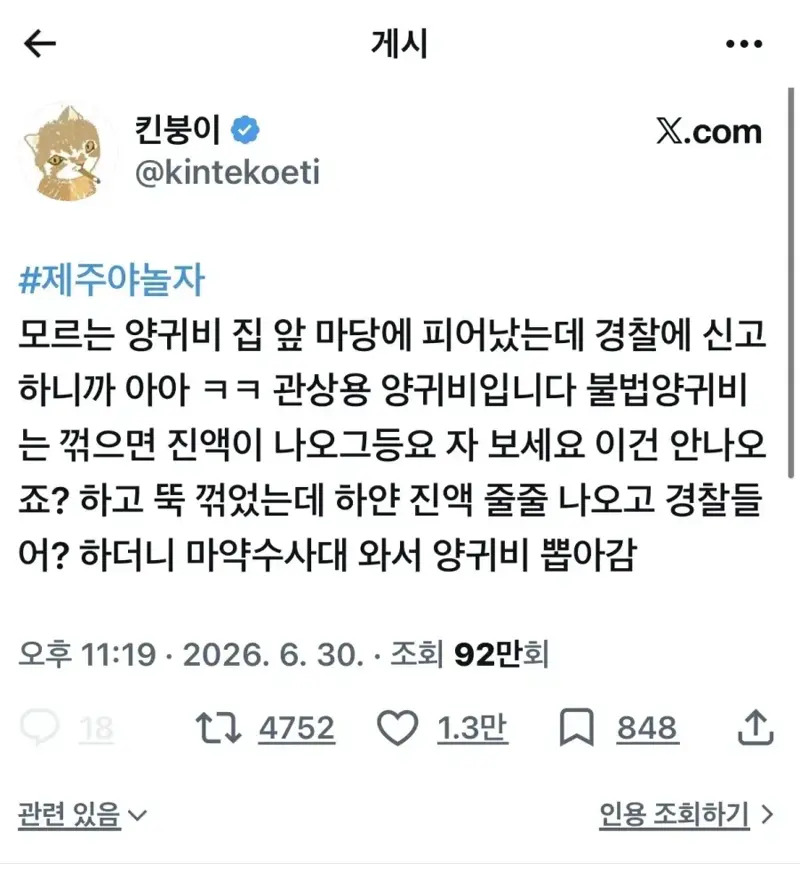 모르는 양귀비가 집앞에 피어났다..jpg