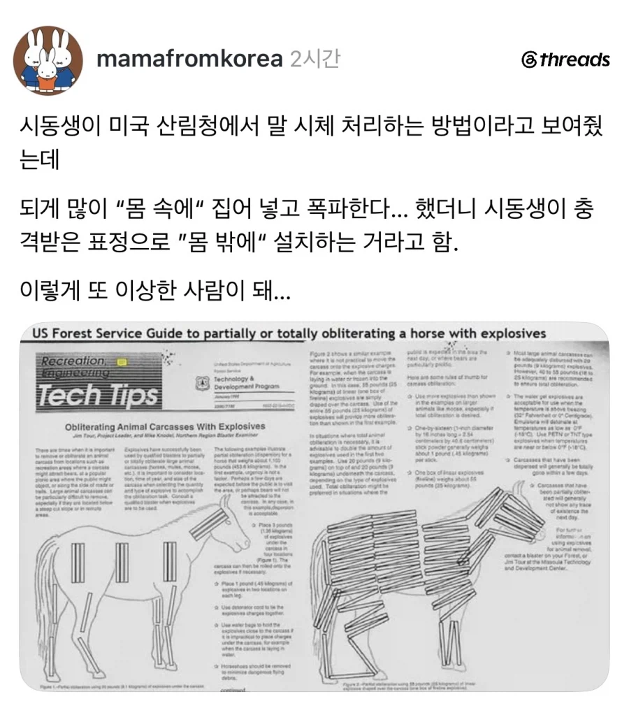 와 미국은 사체 처리도 파격적이네.jpg