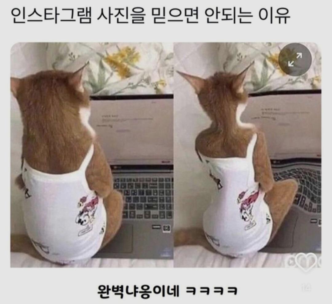 인스타그램 사진을 믿으면 안되는 이유.jpg