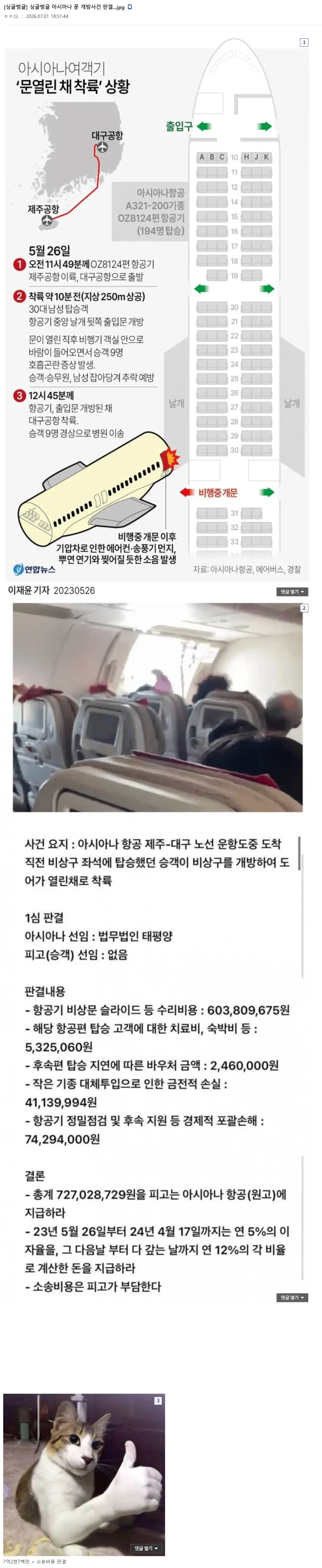 아시아나 문 개방사건 판결