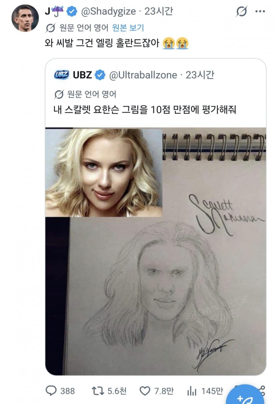 스칼렛 요한슨 그림 평가해달라는 외국인.JPG