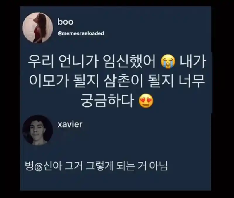 "우리 언니가 임신했어😭"