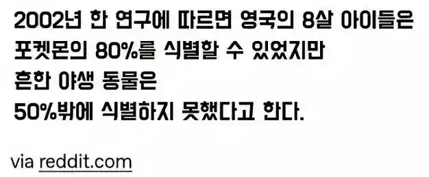 포켓몬과 야생동물의 차이