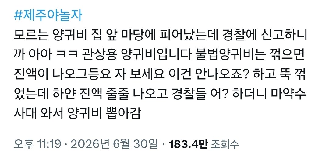 양귀비 집 앞 마당에 피어났는데 경찰에 신고하니까 아아 ㅋㅋ 관상용 양귀비입…