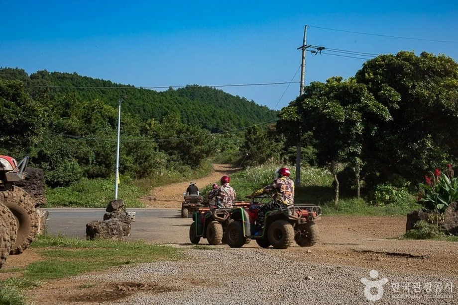 ATV 사발이의 위험성. jpg