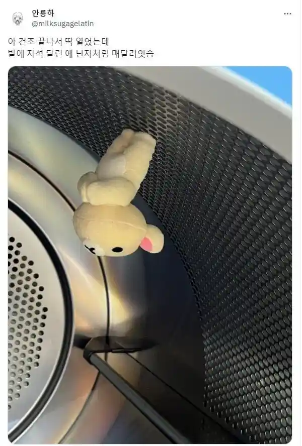 건조기에 넣고 돌린 인형.jpg