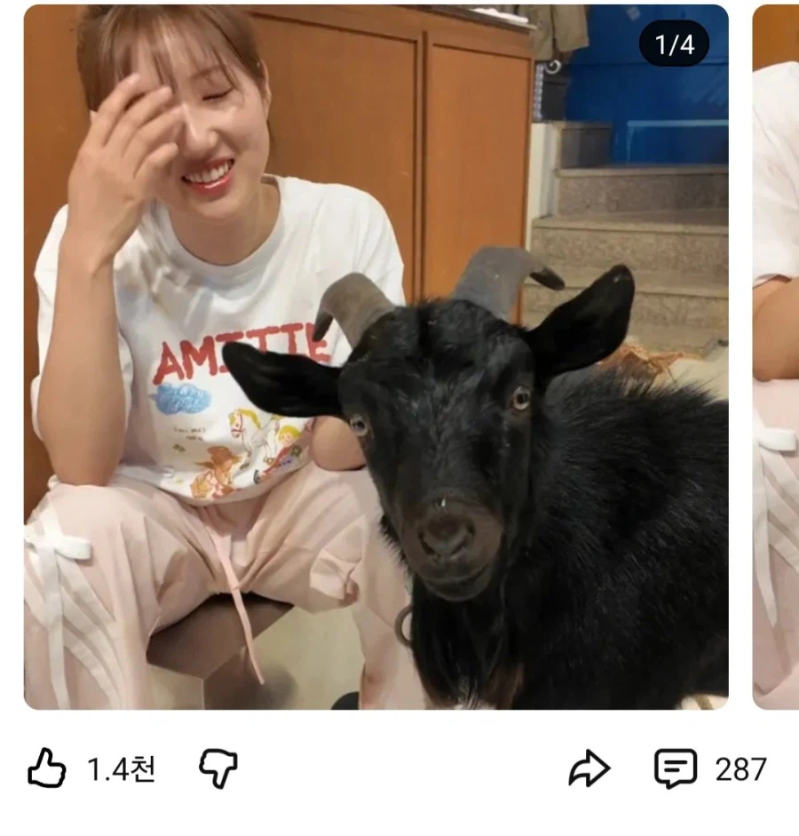 어떤 유튜버가 올린 4장의 사진