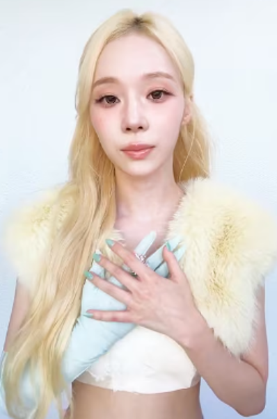 니가 좋아 챌린지한 아이돌 모음