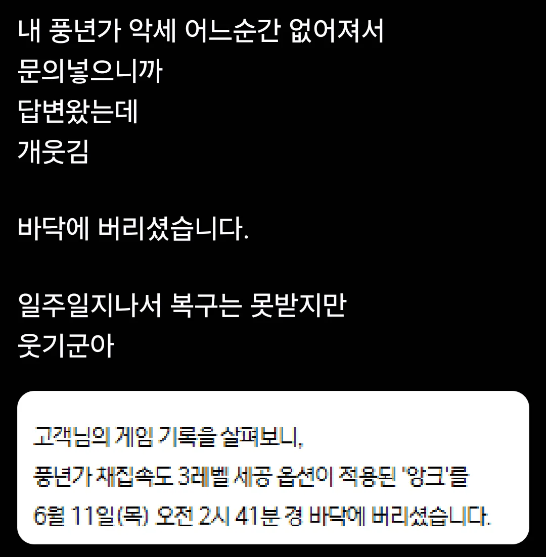 게임 아이템이 사라져 문의 넣은 사람