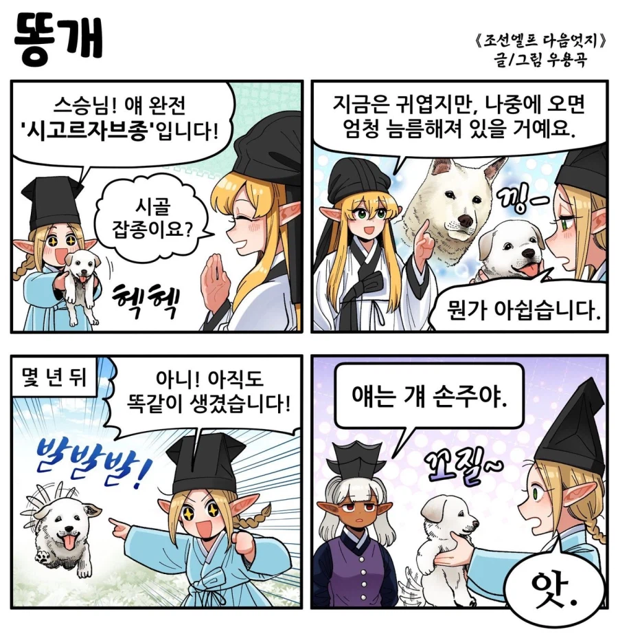시골 똥개 특징
