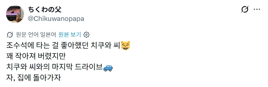 조수석에 타는 걸 좋아했던 고양이.CAT