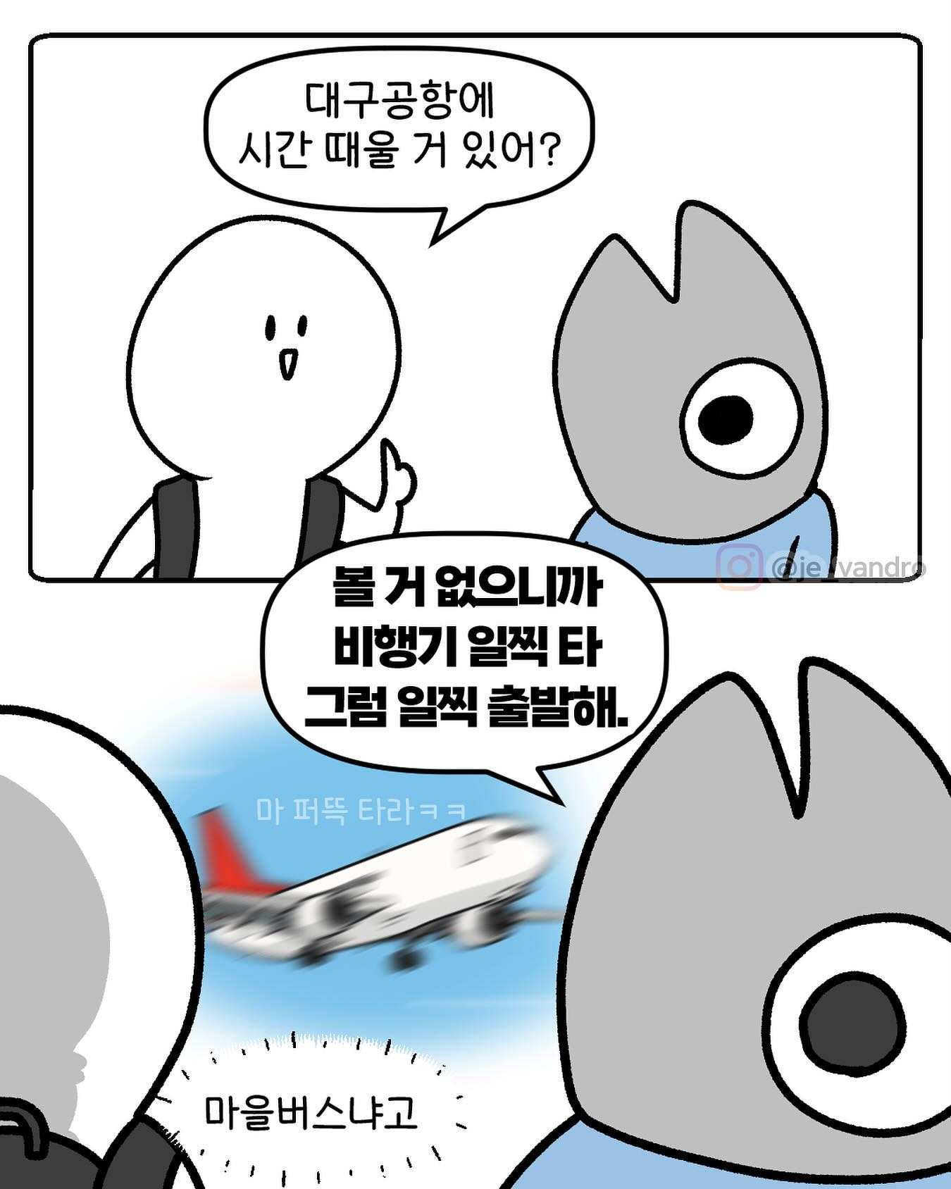 경험담이 쏟아져 나오는 대구 공항의 ㄹㅈㄷ 문화 (댓글에도 실시간으로 올라오…