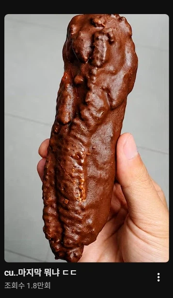 오해하지 마세요 그냥 초코 코팅된 빵이에요
