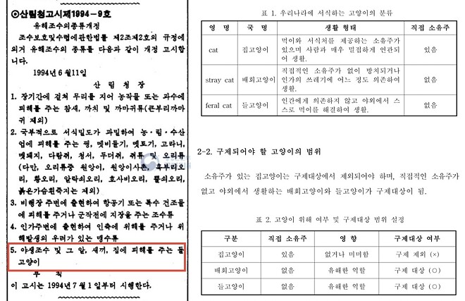 멸종위기종 뿔쇠오리가 야생고양이에게 사냥당하는 장면.gif