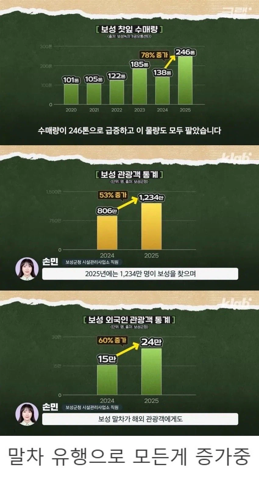 '녹차의 도시' 보성 근황.jpg