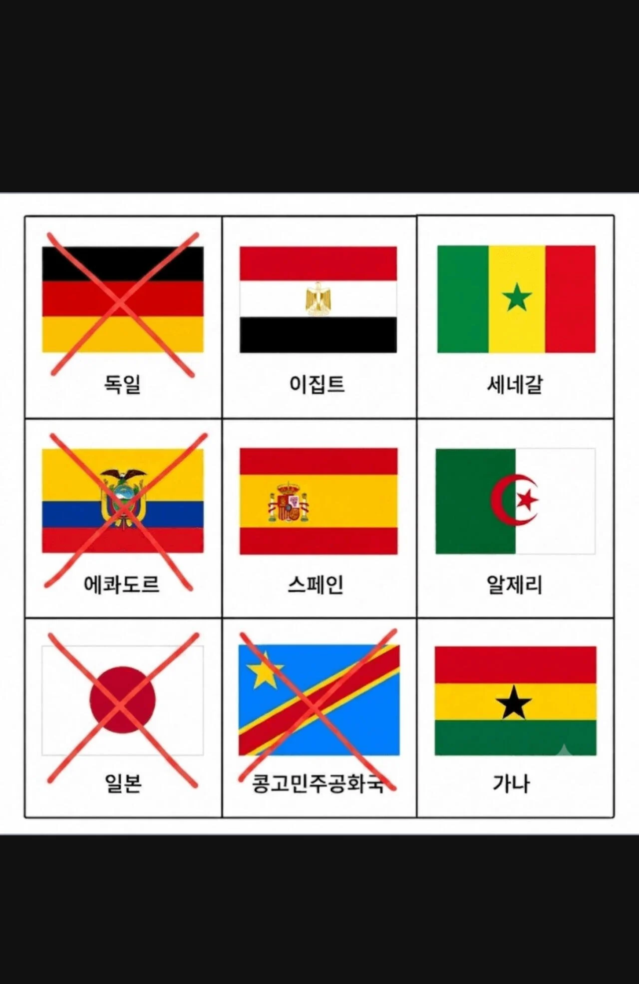 ⚽ 붉은악마의 저주