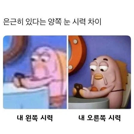 은근 많다는 양쪽 눈 시력차이