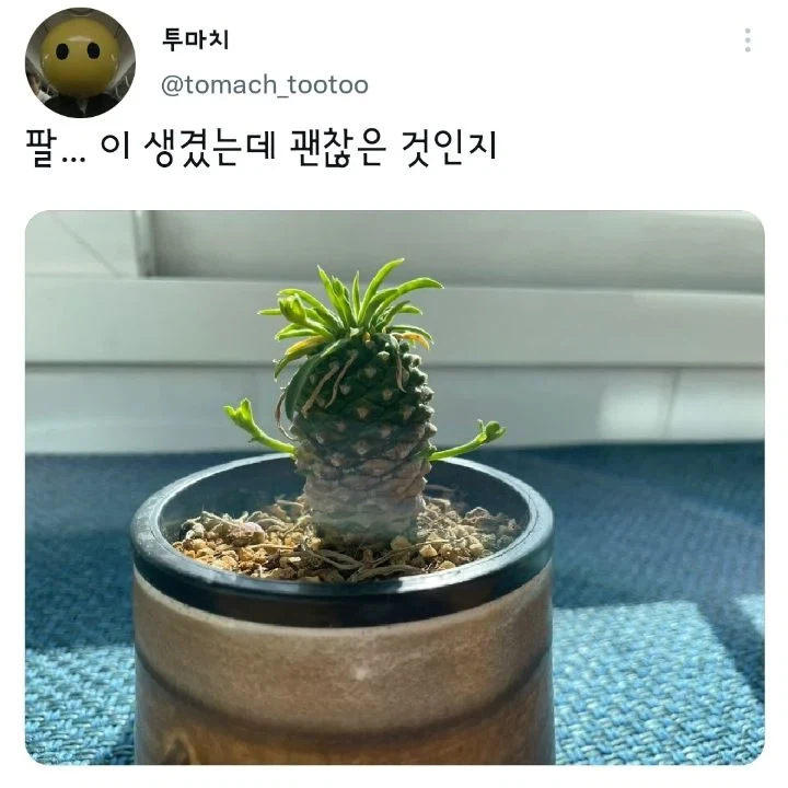 팔...이 생겼는데 괜찮은 것인지
