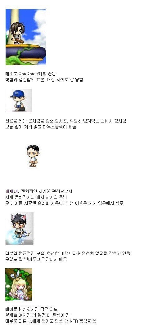 메이플로 보는 관상학.jpg