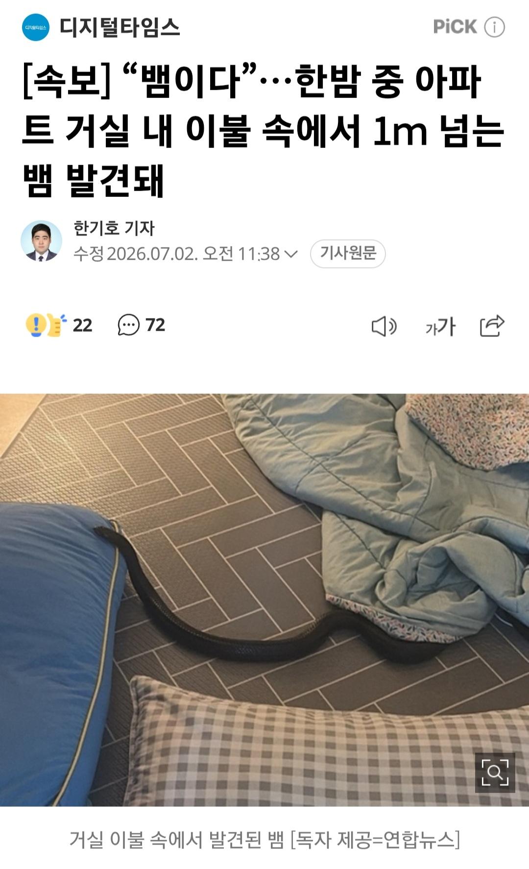 양주 아파트 거실 이불 속에서 1m 넘는 뱀 발견 소동
