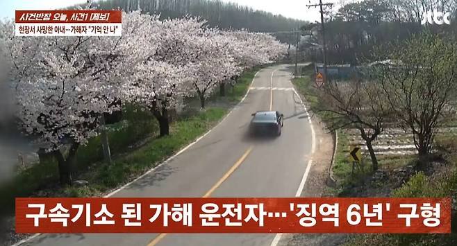 '담금주 7잔' 마시고 운전…벚꽃 구경 부부 덮쳐 아내 사망