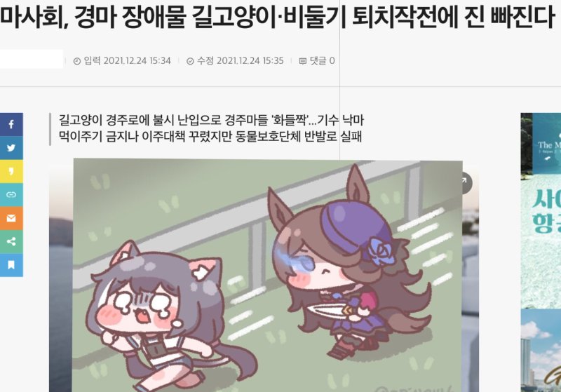 로드킬 1위, 2위의 위엄