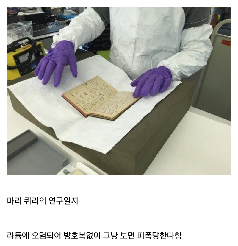 보면 죽는 책