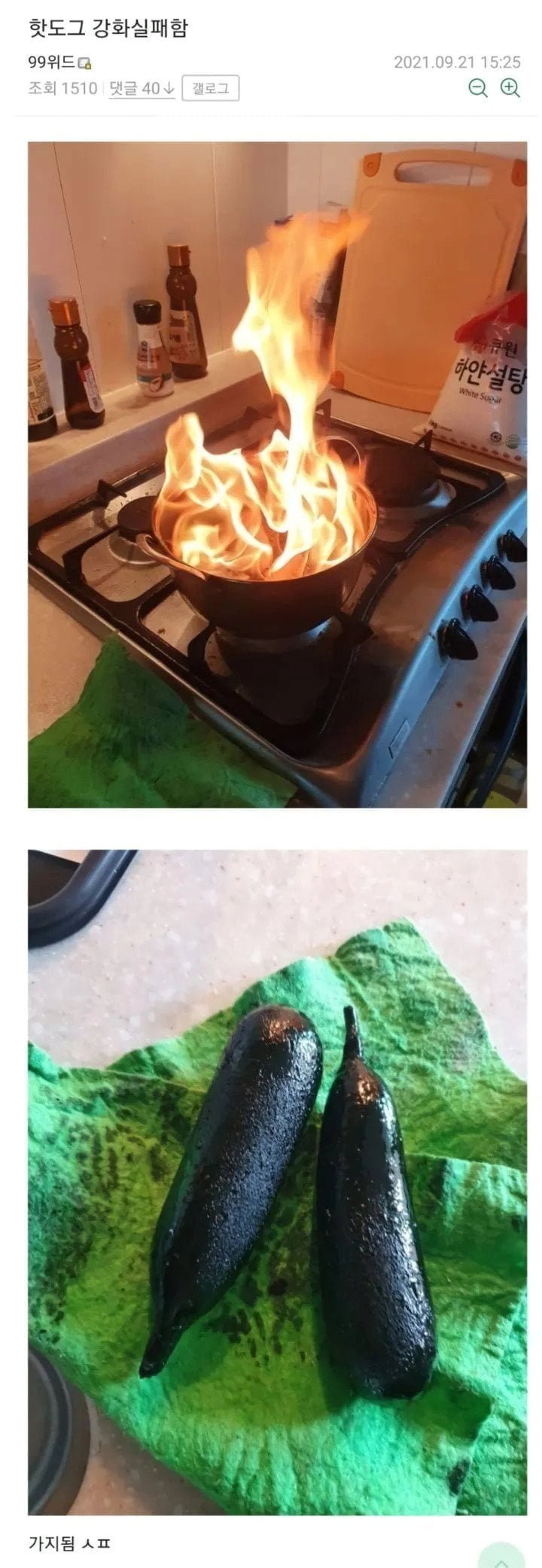 핫도그 강화 실패했다는 사람