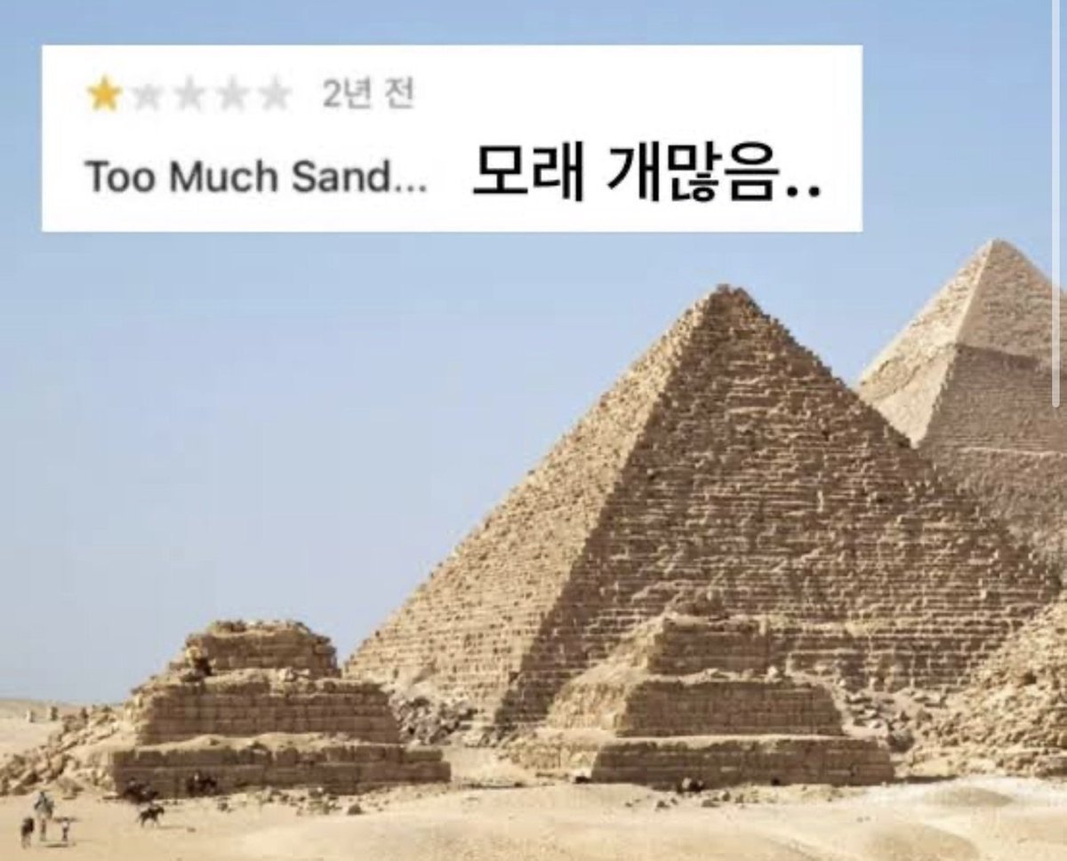 피라미드 후기에 올라온 악플