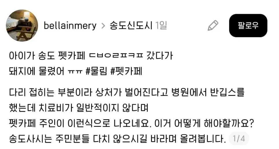 송도 카페 돼지물림사고.gif (상처사진있음)