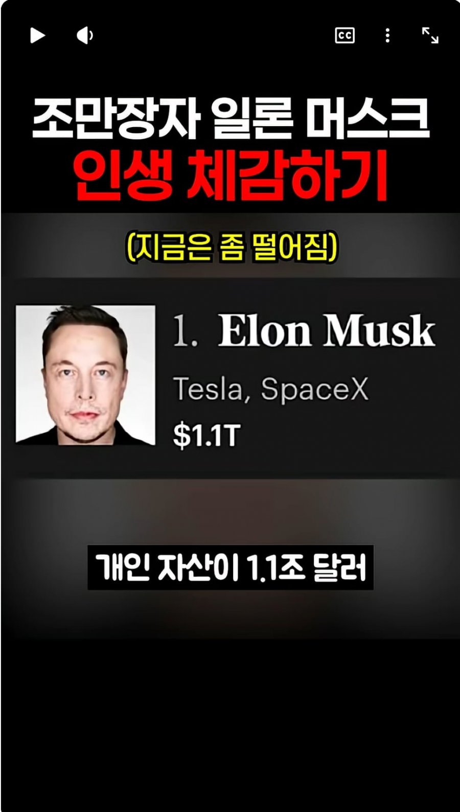 일론 머스크 재산으로 한국에서 할 수 있는 것들
