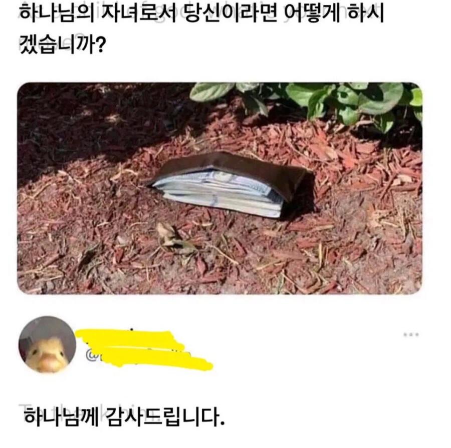 하나님의 자녀로서 어떻게 하시겠습니까?.jpg